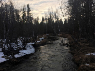 Fototapeta premium river in winter