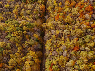 Beautiful drone aerial landscape of Dobrovat forest in Autumn