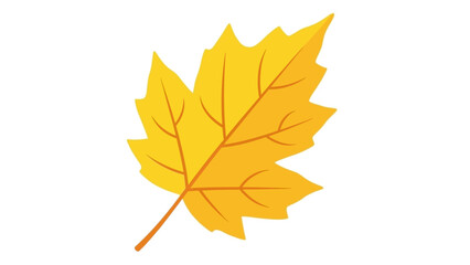 A single yellow maple leaf with detailed veins and a short stem on a white background.