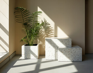 Sunlight streams through a window casting dramatic shadows on a potted plant and minimalist decor