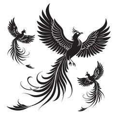 Black phoenixes Silhouette Vector, High Quality Illustration on White Background