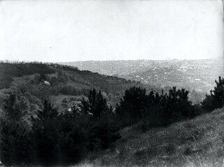 Hills and Pines Overlooking a Distant City Old Film Photo