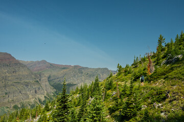 Naklejka premium Backpacker Hikes Along Open Trail In Backcountry Of Glacier