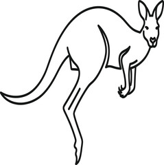 kangaroo vector illustration