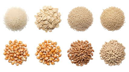 A top-down view of eight distinct piles of raw, unprocessed grains and cereal crops, showcasing a variety of healthy food ingredients essential for baking and cooking
