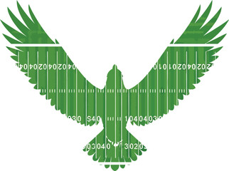 Flying Eagle Silhouette With Green American Football Field Texture  vector Design 