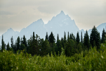 Bottom Lands To Peaks In Grand Teton