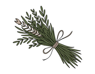 Hand drawn botanical illustration of a rustic green leafy bouquet tied with twine