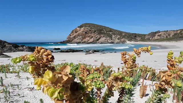 Quoin Head, Western Australia: Remote White Sand Beach and Turquoise Waters Nestled Amidst Rugged Coastal Headlands in a National Park
