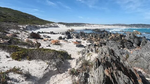 Hakea Walk Trail, Western Australia: Pristine White Sands, Turquoise Waters, and Dramatic Jagged Rocks on an Untamed Coastal Landscape.