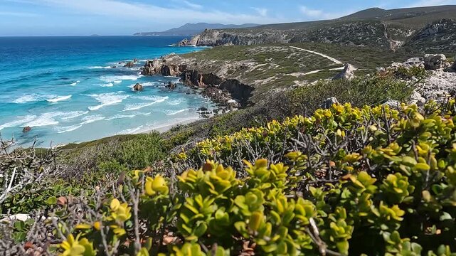 Hakea Walk Trail, Western Australia: Discovering Untamed Beauty Along Fitzgerald National Park Rugged Coastline and Pristine Turquoise Bays