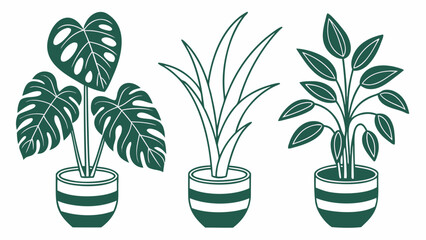 Flat vector collection of botanical houseplants with interchangeable pots