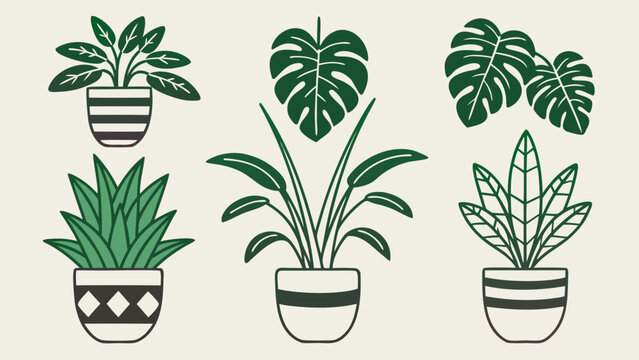 Flat vector collection of botanical houseplants with interchangeable pots