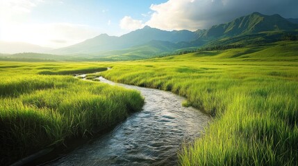 Serene mountain stream meandering through a vibrant meadow. Lush green grasses surround a clear, flowing stream, leading to a backdrop of majestic, sunlit mountains under a partly cloudy sky