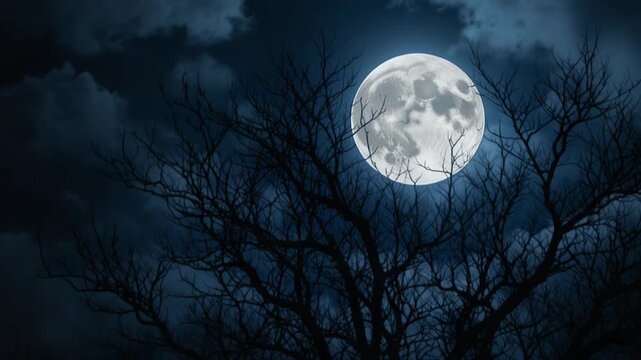 winter night scene with full moon and leafless trees