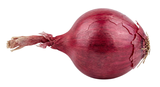 Red onion close up isolated on transparent background studio shot food photography isolated on transparent background