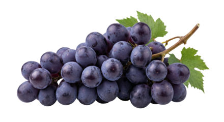Grapes in bunch fresh raw fruits with green leaf for nutrition and antioxidants source isolated on transparent background