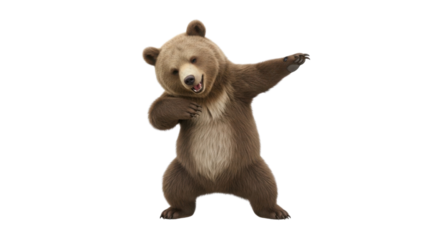 Funny bear dabbing, humorous animal concept isolated PNG with Transparent Background