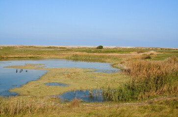 La réserve d'avifaune du hâble d'Ault, zone naturelle protégée, Somme, 80, Region Picardie, France