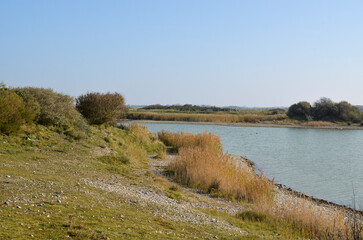 La réserve d'avifaune du hâble d'Ault, zone naturelle protégée, Somme, 80, Region Picardie, France