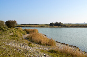 La réserve d'avifaune du hâble d'Ault, zone naturelle protégée, Somme, 80, Region Picardie, France