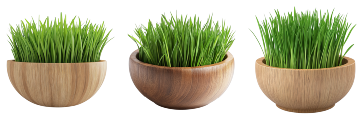 Three wooden bowls filled with vibrant green grass, arranged in a row. The freshness of the grass contrasts beautifully with the warm tones of the wooden bowls