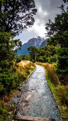 Obraz premium Scenic mountain trail with lush foliage, leading to a cloudy, majestic peak