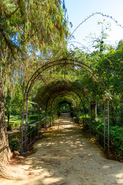 Jardin de los Leones Fountain (Lions Garden) at Maria Luisa Park - Seville, Andalusia, Spain
