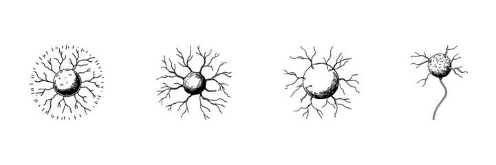 Neuron Cell Doodle Sketch Set. Neural Network And Brain Function Representation In Hand Drawn Style Collection. Scientific Illustration Of Neurons And Synapses. Isolated Vector Illustration