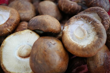 Fresh king oyster mushrooms in red colander