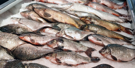 A fresh display of various types of whole fish, arranged on a bed of crushed ice in a market or store. The fish are silvery and scaled, with some showing reddish fins