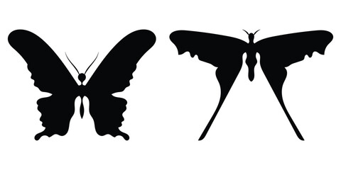 Dark vintage modern isolated butterfly icons set on white background. Black flying decoration silhouette of butterflies. Different shapes beautiful butterfly icons set. EPS 10. 