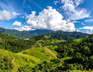Obraz premium Panoramic vista of verdant rolling hills, lush forests, and puffy clouds under a blue sky