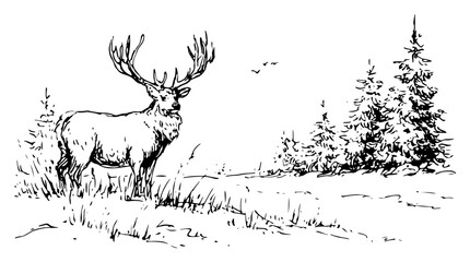 Naklejka premium Hand Drawn Majestic Stag in Snowy Pine Forest — Black and White Vector Illustration