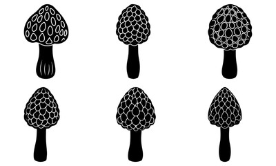 Delicate morel mushroom drawings for culinary design projects, foraging guides, and nature-inspired art - A touch of woodland charm and gourmet appeal.