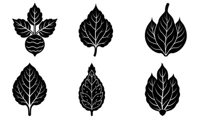 Obraz premium Elegant floral designs for botanical prints, perfect for vintage invitations and nature-inspired crafts with a touch of classic sophistication