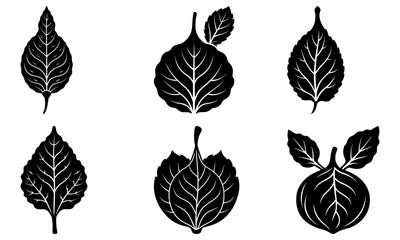 Elegant leaf silhouettes for creative designs, botanical illustrations, or nature-inspired projects, enhancing visual appeal with delicate foliage elements