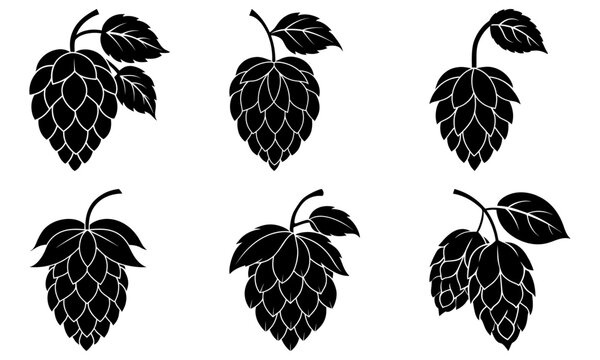 Craft beer brewing hops collection for brewery branding and design, vintage botanical elements for beer festival posters, create a rustic, inviting atmosphere