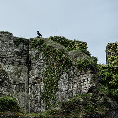 Mussenden Temple and Downhill House in Northern Ireland.