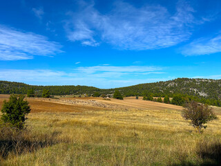Sunny rural landscape with golden grass fields, rolling hills and a bright blue sky with clouds. Tranquil natural scenery ideal for nature backgrounds, travel themes, countryside and outdoor concepts