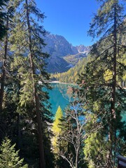 A view of Lago di Braies framed by tall trees, with the crystal-clear turquoise water and surrounding mountains, capturing the beauty of autumn in the Dolomites.