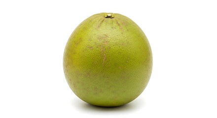 A single green unripe avocado isolated on white background