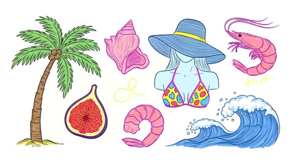 Colorful illustration of summer elements including palm tree, fig, seashell, woman, shrimp, and ocean wave.
