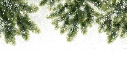 Green pine branch border with sparkling snowflakes and soft shadows isolated on white background