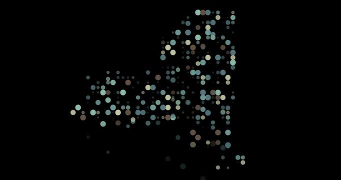 Dynamic Particle Map of New York Forming from Falling Circles