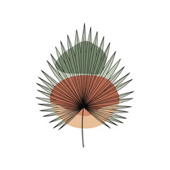 chinese fan isolated on white