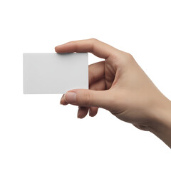 A hand holding a blank white business card isolated on white background