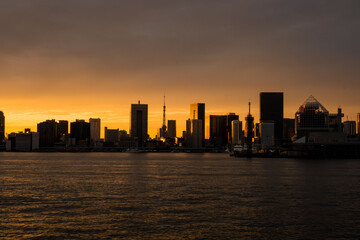 豊洲ぐるり公園から見たオレンジ色に染まる東京タワーと東京湾