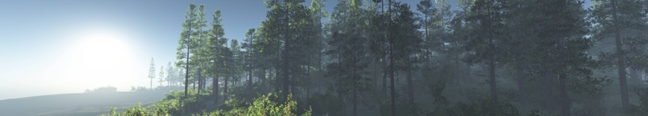Forest, forest panorama, forest landscape, banner, sunrise in the forest, 3D rendering