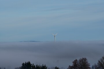 Nebelfelder hinter B&auml;umen aus denen ein Windrad herausragt